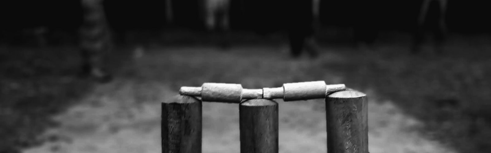 Wooden stumps and bails